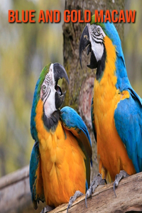 Blue and Gold Macaw