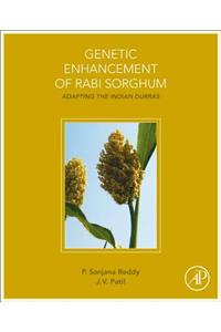 Genetic Enhancement of Rabi Sorghum