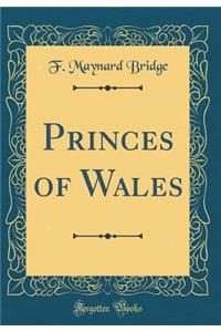 Princes of Wales (Classic Reprint)