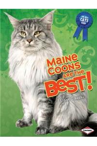 Maine Coons Are the Best!