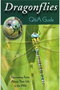 Dragonflies: Q&A Guide