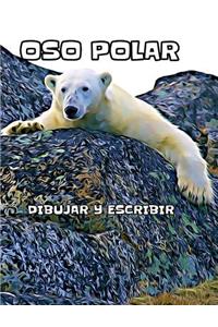 Oso Polar