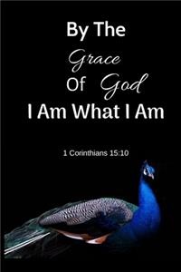 By The Grace Of God I Am What I Am 1 Corinthians 15