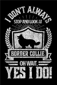 I Don't Always Stop and Look At Border Collie OH Wait, Yes I Do!