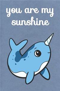 You Are My Sunshine