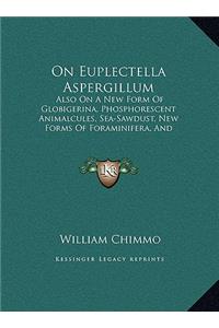 On Euplectella Aspergillum
