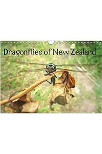 Dragonflies of New Zealand 2018