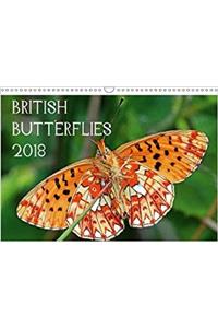 British Butterflies 2018 2018