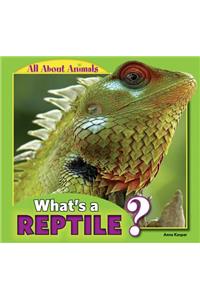 What's a Reptile?