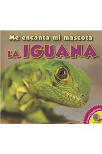 Iguana