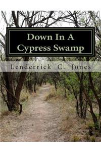 Down In A Cypress Swamp