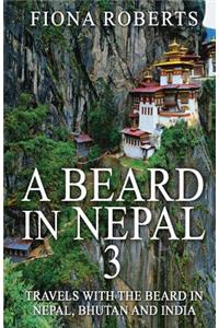A Beard In Nepal 3
