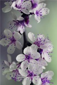 Mind Blowing Purple And White Flowers Journal