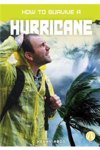 How to Survive a Hurricane