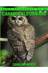 Cárabo californiano
