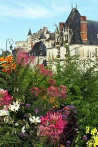 Colorful Wildflowers and Saint Hubert Chapel Loire Valley France Journal