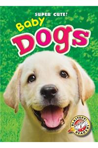 Baby Dogs