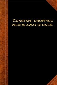2020 Daily Planner Ben Franklin Quote Dropping Stones Vintage Style 388 Pages