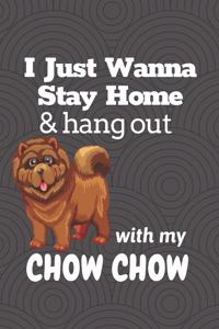 I just wanna stay home & hang out with my Chow Chow