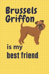 Brussels Griffon is my best friend
