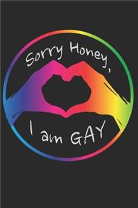 Sorry Honey I am GAY