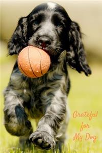 Grateful for My Dog