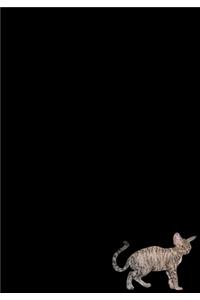 Devon Rex Cat Journal