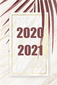 2020 / 2021