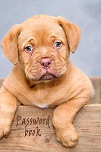 Password Book