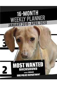 2019-2020 Weekly Planner - Most Wanted Dachshund