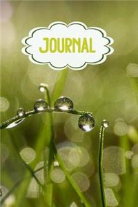 Journal