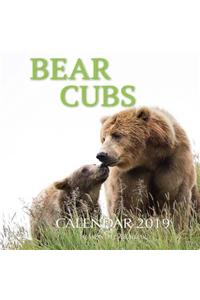 Bear Cubs Calendar 2019
