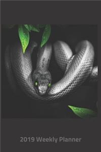 Plan on It 2019 Weekly Calendar Planner - Green Eyed Snake