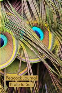 Peacock Journal Note to Self