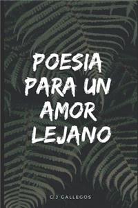 Poesía Para Un Amor Lejano