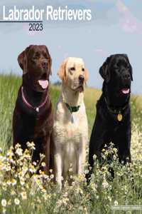 Labrador Retriever (Mixed) 2023 Wall Calendar