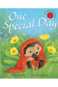 One Special Day