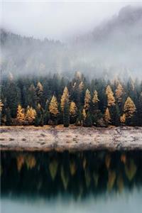 Golden Trees on Foggy Autumn Lake