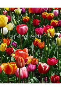 Spring Buds - 8x10 lined journal