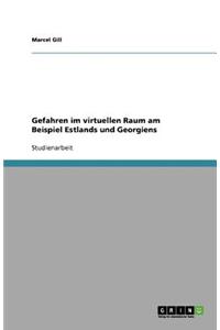 Gefahren im virtuellen Raum am Beispiel Estlands und Georgiens