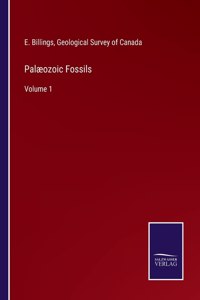 Palæozoic Fossils