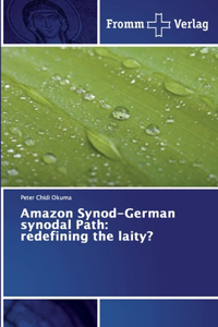 Amazon Synod-German synodal Path