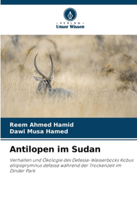 Antilopen im Sudan