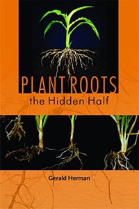 Plant Roots The Hidden Half