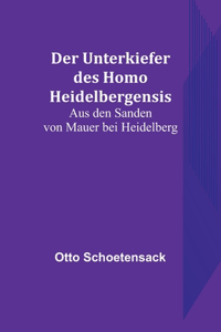 Der Unterkiefer des Homo Heidelbergensis