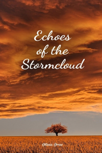 Echoes of the Stormcloud