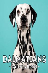 Dalmatians