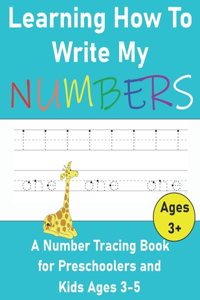 Learning How to Write My Numbers