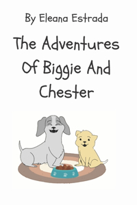 Adventures Of Biggie And Chester