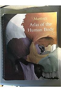 Martinis Atlas of the Human Body